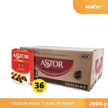 1 Karton Wafer Astor Coklat 40 Gram