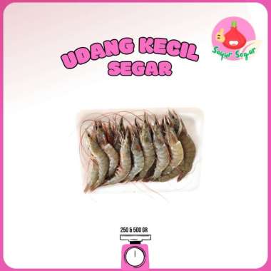 Sayur Segar - Udang Segar Ukuran Kecil/Small Shrimps 500 gr