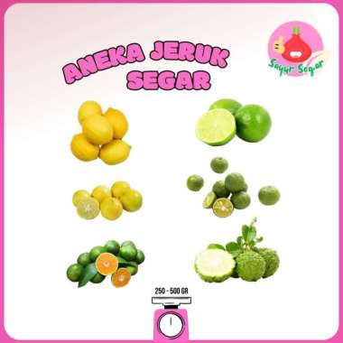 Sayur Segar - Jeruk Nipis /Jeruk Purut /Lemon /Jeruk Peras /Jeruk Limau Segar Jeruk Limau 250 gr
