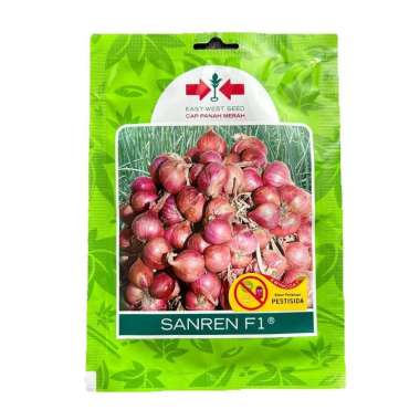 FreeOngkir 800 Butir Benih Bibit Unggul Bawang Merah Biji Sanren F1