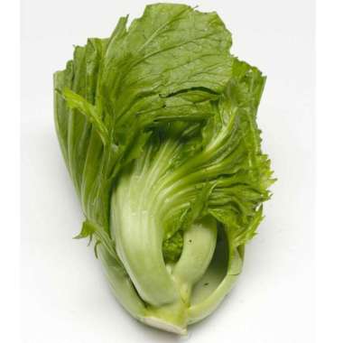 SAWI PAHIT ORGANIK BSP FARM 200GR