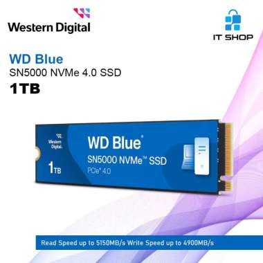 WD Blue SN5000 NVMe 4.0 SSD - 1TB