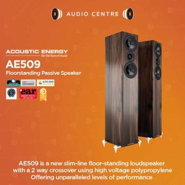 Acoustic Energy AE509 AE 509 Floorstanding Speaker