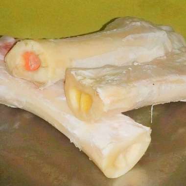tulang sumsum kaki sapi utuh