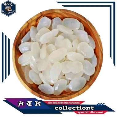 ( ATK ) kolang kaling / caruluk segar 1 kg 1 kg