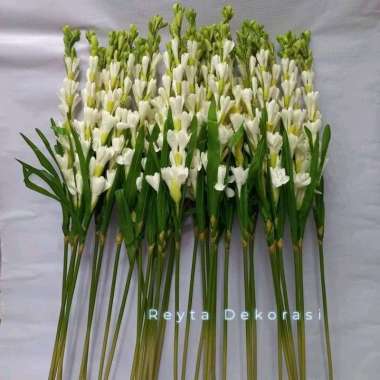 Bunga sedap malam plastik bunga hias artificial sedap malam