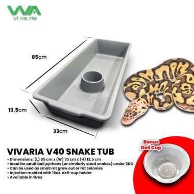 Vivaria V40 Snake Tub Kotak Ball Python BP Ular Abu-abu