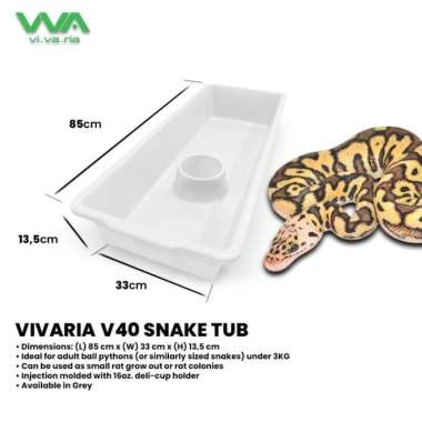 Vivaria V40 Snake Tub Kotak Ball Python BP Ular Semi Clear
