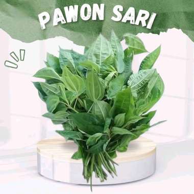 daun pohpohan | lalapan pohpohan