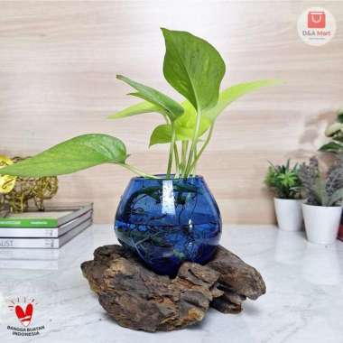 Aquarium Kaca Tiup Akar Kayu Pot Kaca Glass Wood Terrarium Biru Sedang Home Decor