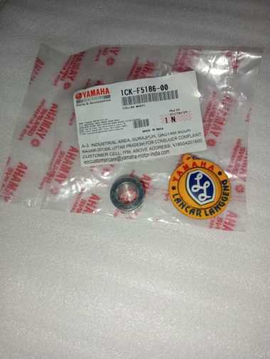 Qattiq mushuklar porno Qiz dosti bilan porno video jinsiy aloqa