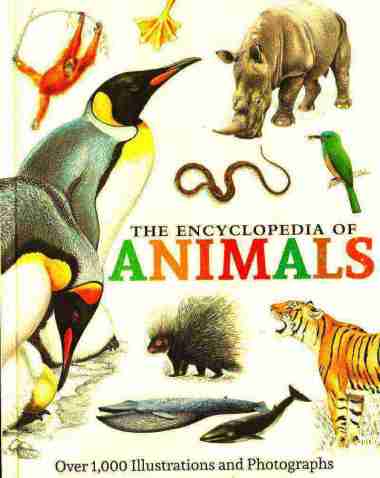 THE ENCYCLOPEDIA OF ANIMALS