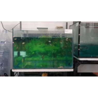 Akuarium 60 x 40 x 40 6mm Aquarium