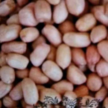 Kacang Sambel /KACANG OSE / MENTAH / SAMBAL 1 kg 1 kg