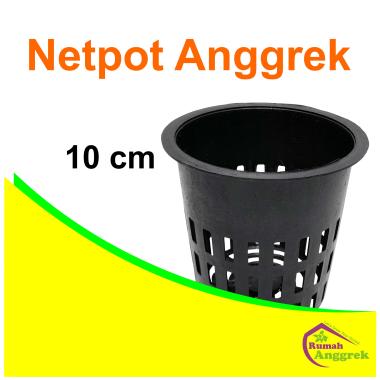 Netpot Anggrek 10 cm dewasa dendrobium bulan net pot jaring dendro hidroponik tanaman hias