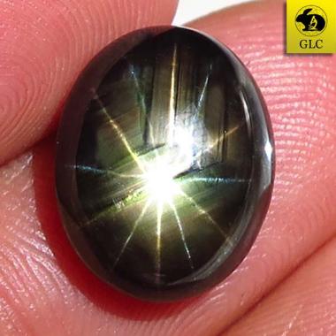 SS-255 Batu Permata Black Star Sapphire 12 Rays Safir Hitam Bintang 12 Sinar Thailand Natural 11.55 