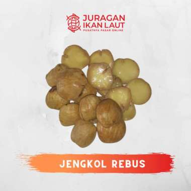 Jengkol Rebus Berkualitas - 250 Gram