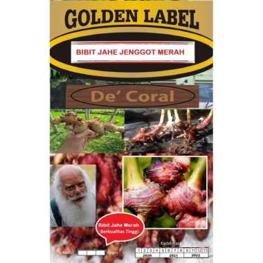 Bibit Jahe Merah Berkualitas Tinggi Cap Jenggot Merah 1 kg