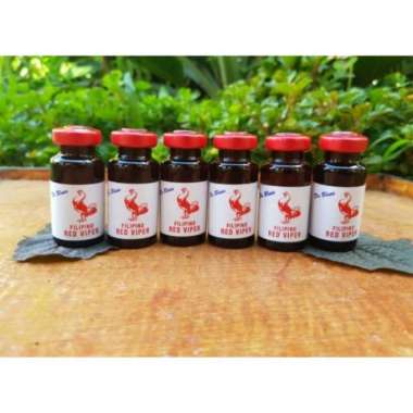 RED VIPER Doping Ayam Petarung - Khusus Ayam Aduan - Doping Ayam Laga