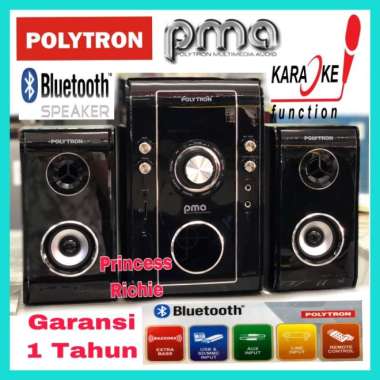 Speaker POLYTRON PMA 9503 KARAOKE-BLUETOOTH-USB-FM RADIO Multicolor