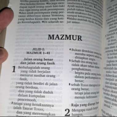 Alkitab Edisi Huruf Besar, Khusus Lansia