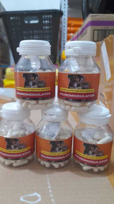IMUNOMODULATOR ALL IN 1 VITAMIN BULU GEMUK IMUN CAT DOG HARGA 1 KAPSUL