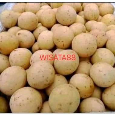 buah duku palembang 500gr manis legit lokal indonesia