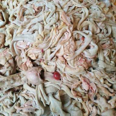 Usus Ayam Mentah 1 Kg Fresh