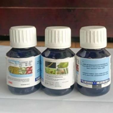 insektisida ammate 50 ml pembasmi hama