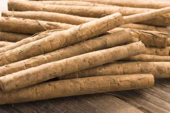HasilSumberalaM Akar Ketela Segar Fresh Burdock Root Gobo Niu Pang IMPORT 1 kg 1 kg