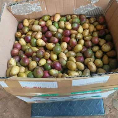 Buah Matoa 1kg Buah Unik Langka / Buah Segar Fresh Matoa Asli 1kg