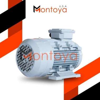 Dinamo Motor Montoya 2 HP 1 Phase Japan Technology