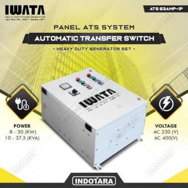 Iwata Automatic Transfer Switch ATS 63AMP-1P
