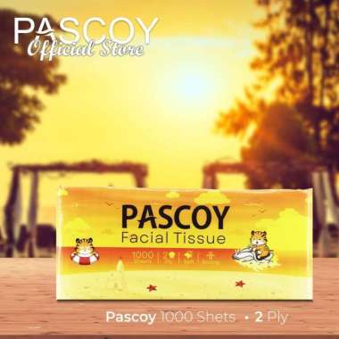 Pascoy Facial Tissue [1000 Sheets]