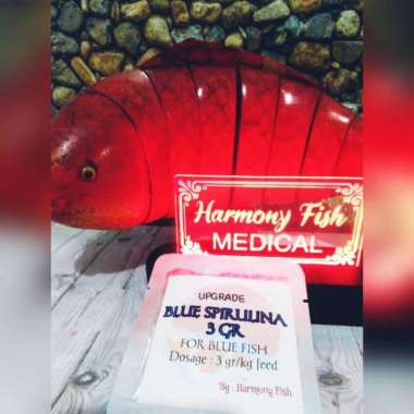 UPGRADE BLUE SPIRULINA 3GR Vitamin Pigmen Biru Ikan Channa Louhan