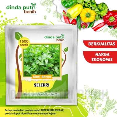 Benih Daun Seledri isi benih 1500biji/benih sayuran daun seledri