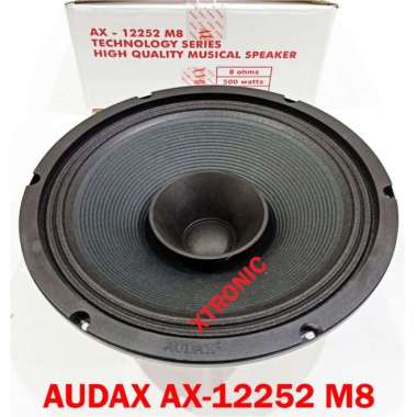 AX-12252 M8 Speaker Audax 12inch 12 inch FR Fullrange AX12252