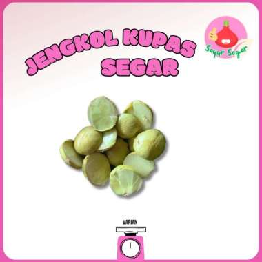 Sayur Segar - Jengkol Kupas Segar / Peeled Jengkol 500 gram