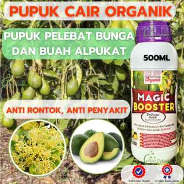 Pupuk Pelebat Buah Alpukat Pupuk Organik Pemicu Pembungaan dan Pembuahan Alpukat dan Booster Alpukat