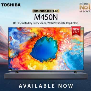 TOSHIBA 43 M 450 NP - SMART TV QLED TV 43 IN + BRAKET