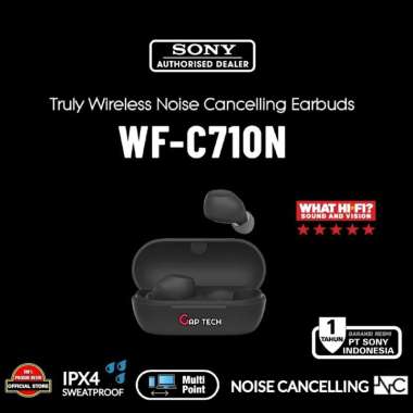 Sony WF-C710N / WF C710N / WF C 710N / WF C 710 N Truly Wireless Noise-Canceling Earbuds / TWS Origi
