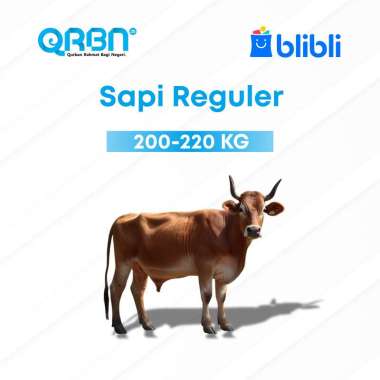 Sahabat Yatim - Qurban Nusantara 2025 - Sapi Qurban 1 Ekor Sapi Kurban