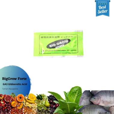 ZPT Big Grow Forte GA3 Giberelin