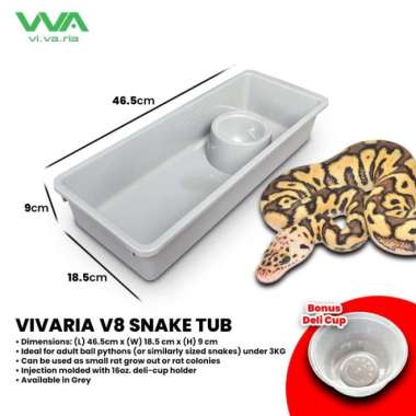 Vivaria V8 Snake Tub Kotak Ball Python BP Ular