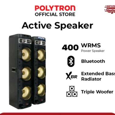 Polytron Speaker Aktif Bluetooth Karaoke 10 inch PAS 10DF38