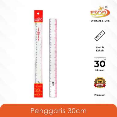 Esco 30cm Plastic Ruler - Penggaris Transparan Skala Cm & Inci (PPV-30)