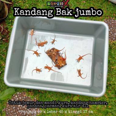 KANDANG BAK JUMBO KURA AIR SULCATA RADIATA HAMSTER 60 CM - 47 cm ORIGINAL 100 %