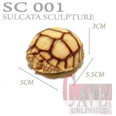 Replika pajangan patung tortoise Astrochelys Yniphora kura kura darat BABY SULCATA