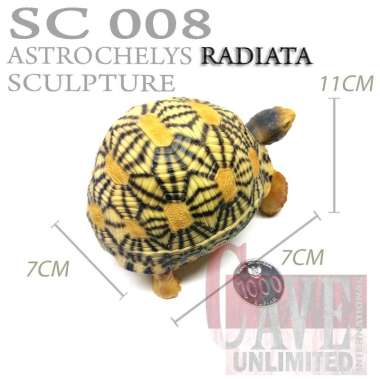 Replika pajangan patung tortoise Astrochelys Yniphora kura kura darat RADIATA