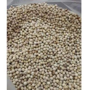Lada Bula Putih / Merica Putih 1/2 kg
